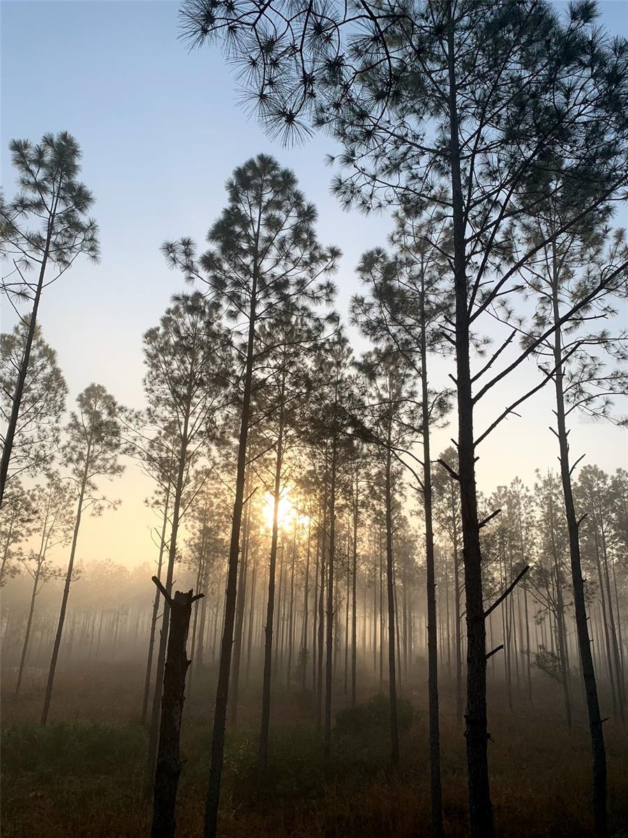 Image 8 of 9 For Clyatt Road