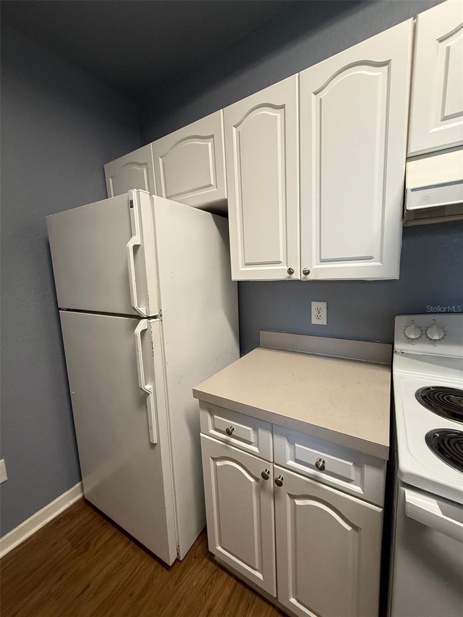 Image 7 of 23 For 17114 Carrington Park Drive 219