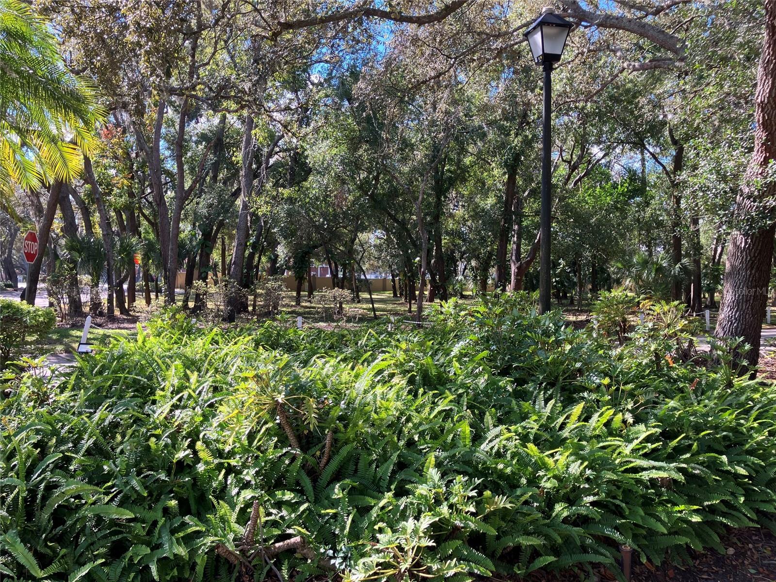 Image 56 of 60 For 11703 Raintree Village Boulevard B