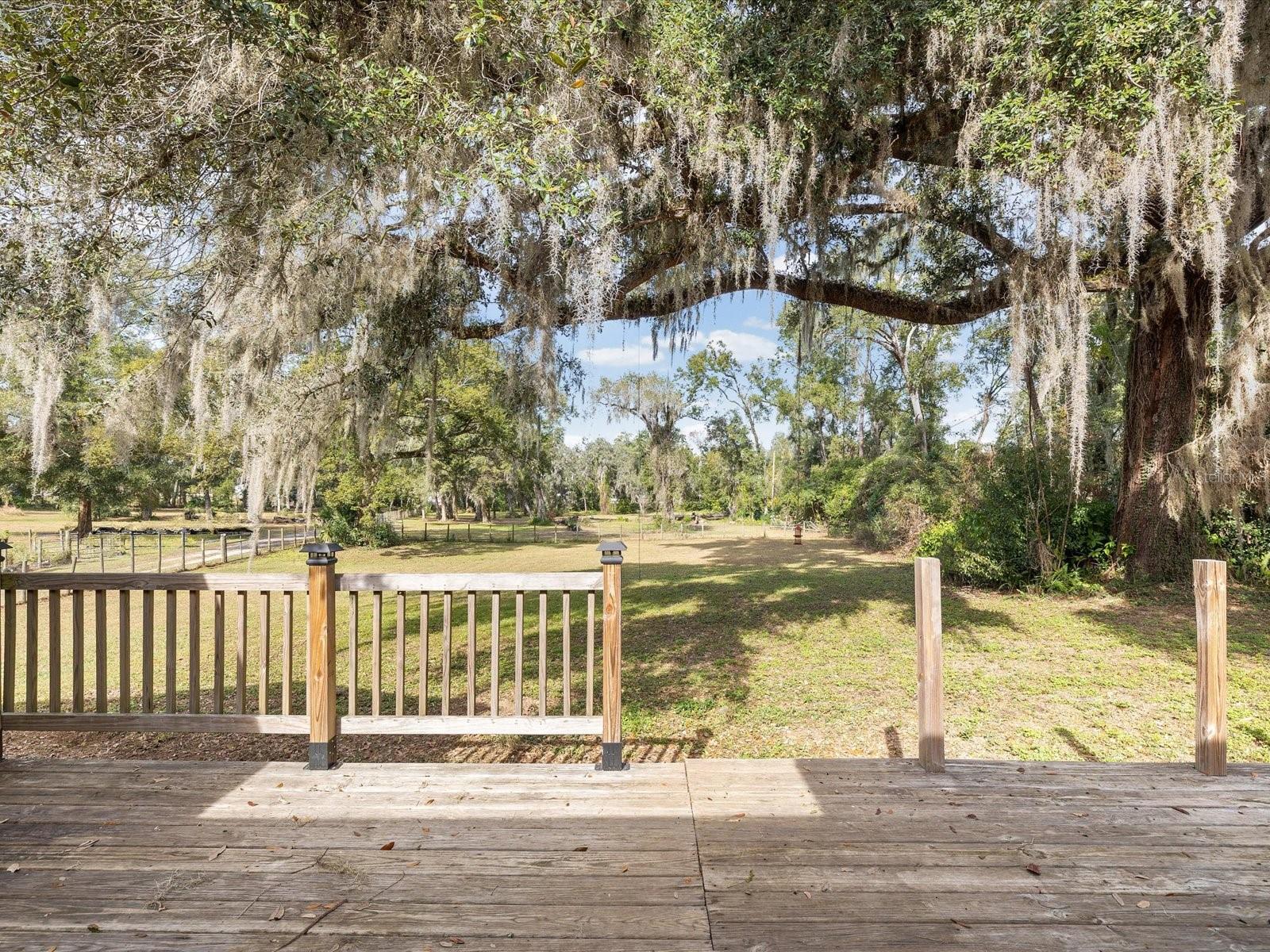 Listing photo id 31 for 36228 Clinton Avenue