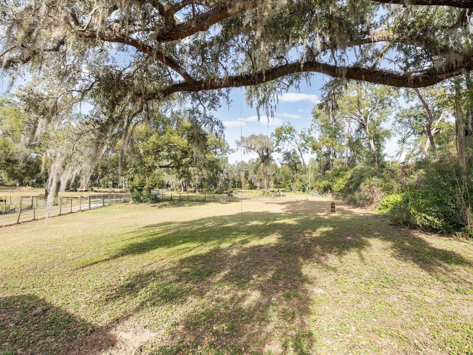 Listing photo id 32 for 36228 Clinton Avenue