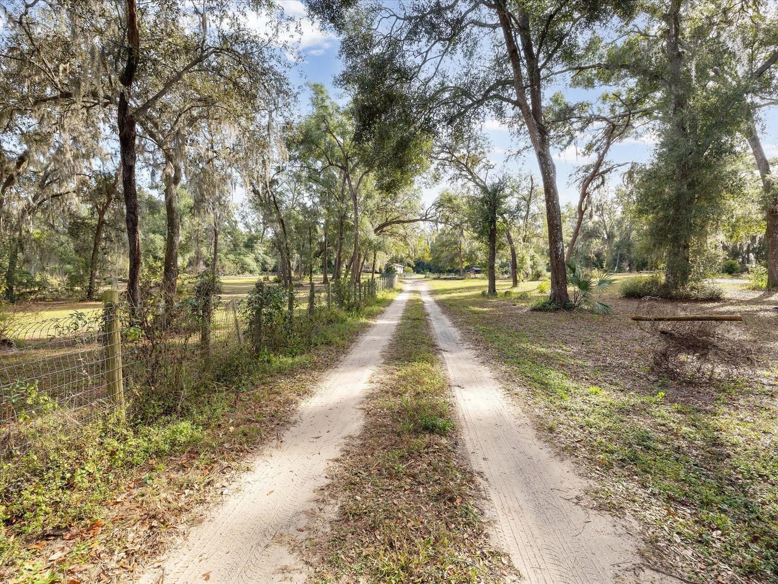 Listing photo id 38 for 36228 Clinton Avenue