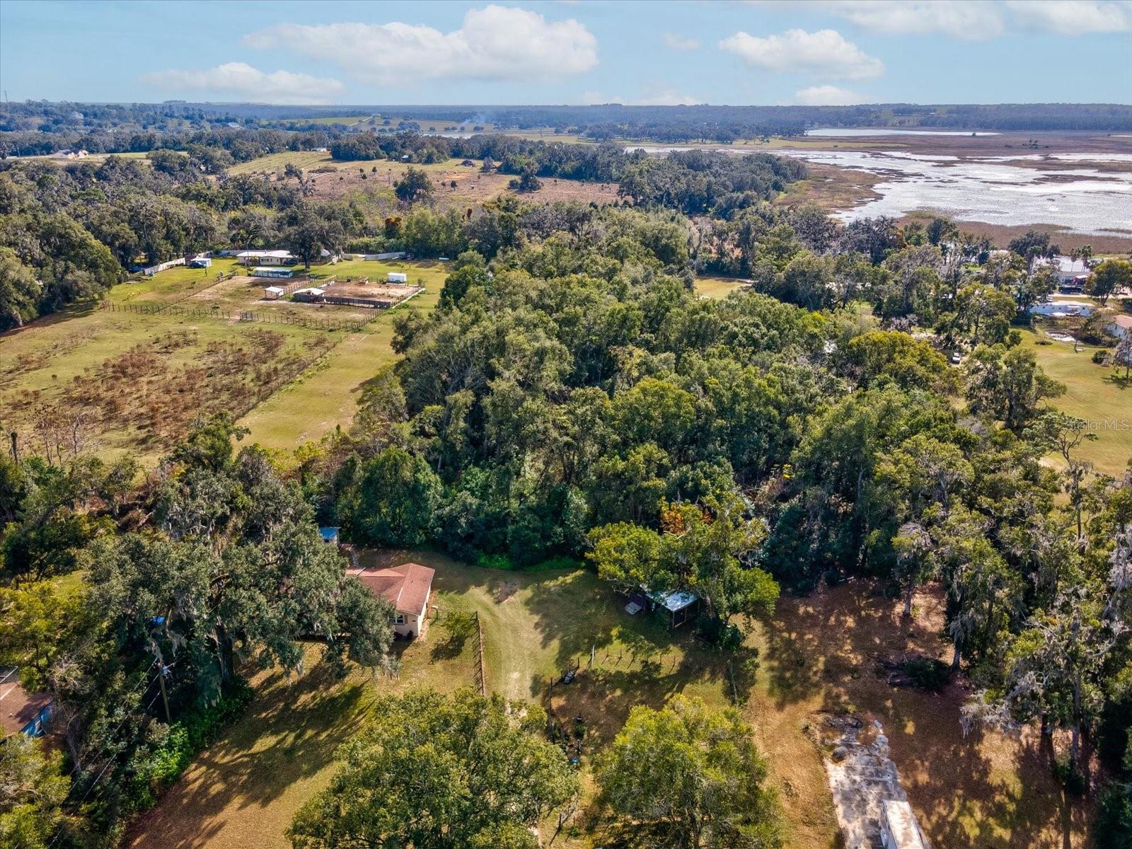 Listing photo id 53 for 36228 Clinton Avenue