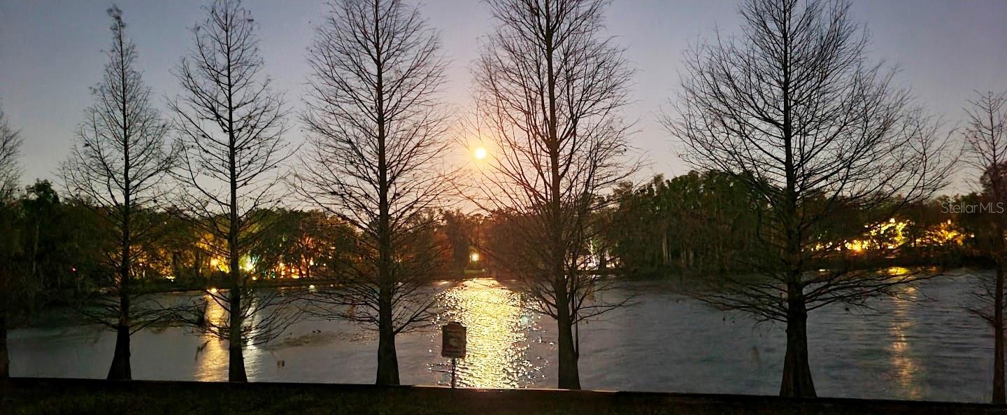 Listing photo id 31 for 2207 Green Oaks Lane