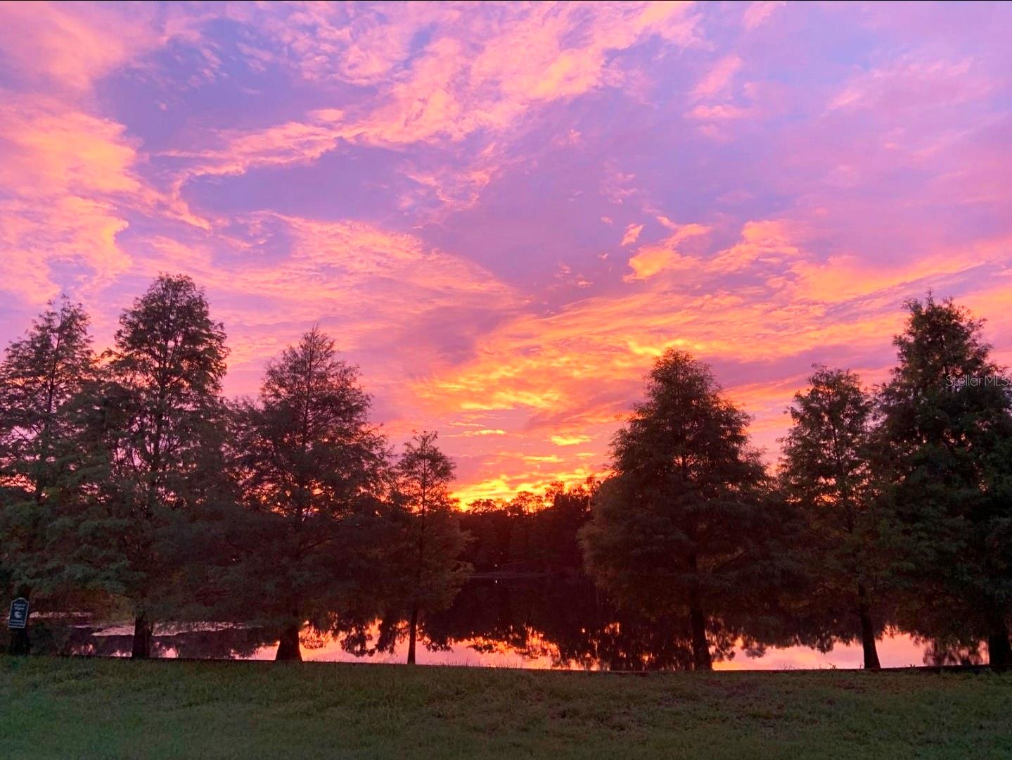 Listing photo id 32 for 2207 Green Oaks Lane