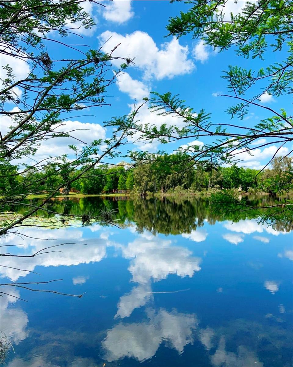 Listing photo id 33 for 2207 Green Oaks Lane