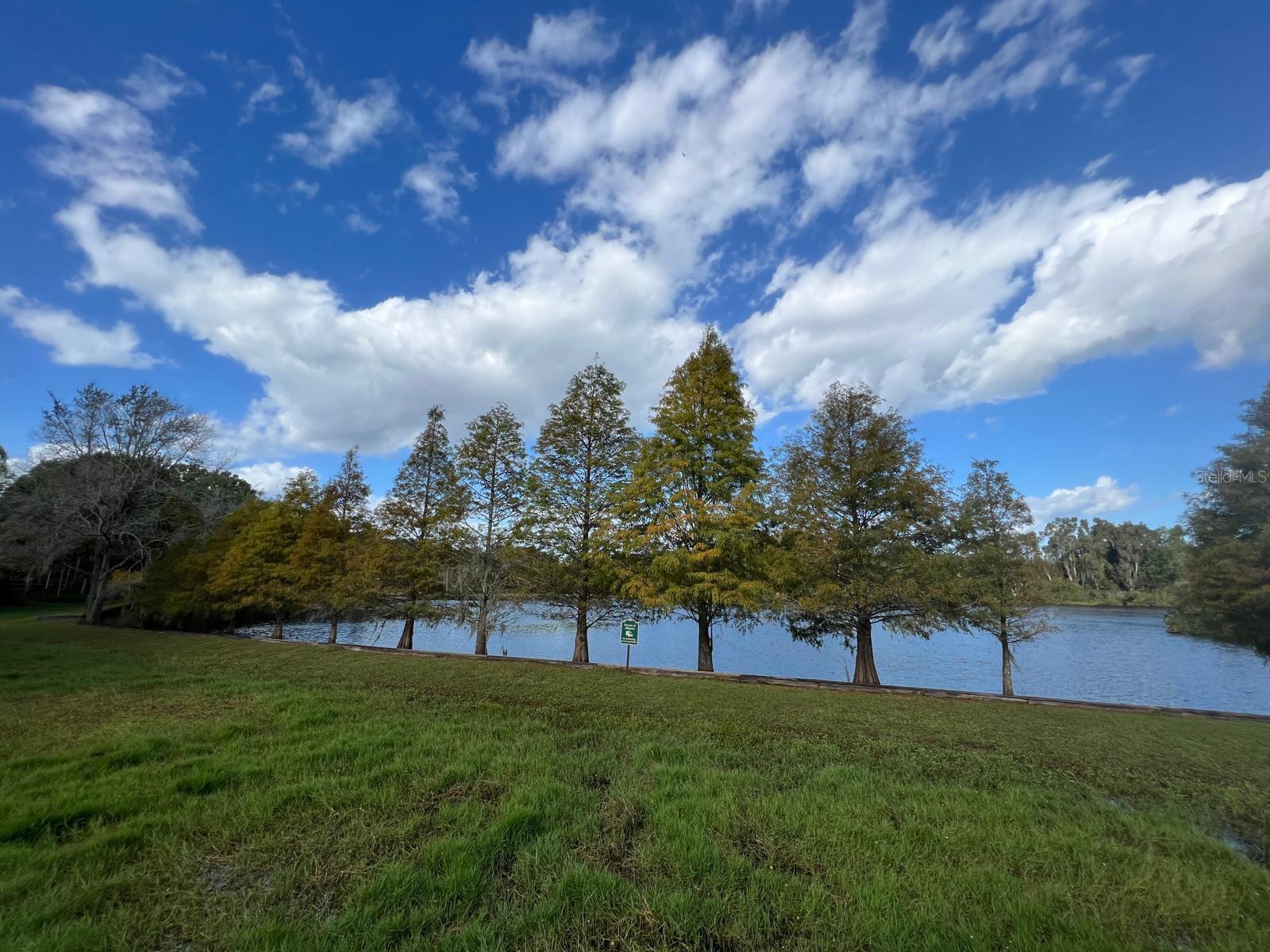 Listing photo id 34 for 2207 Green Oaks Lane