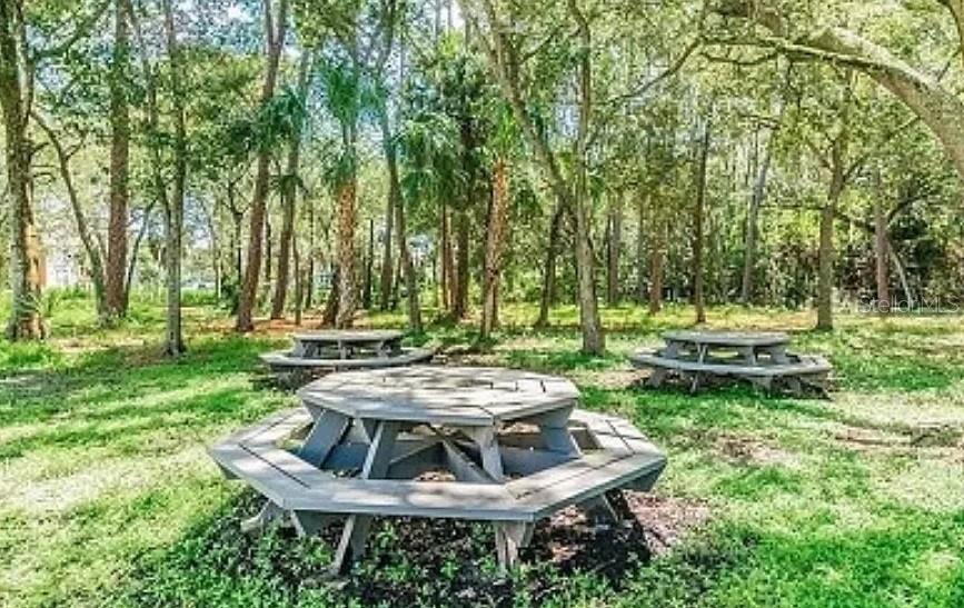 Image 18 of 22 For 1400 Gandy Boulevard N 512