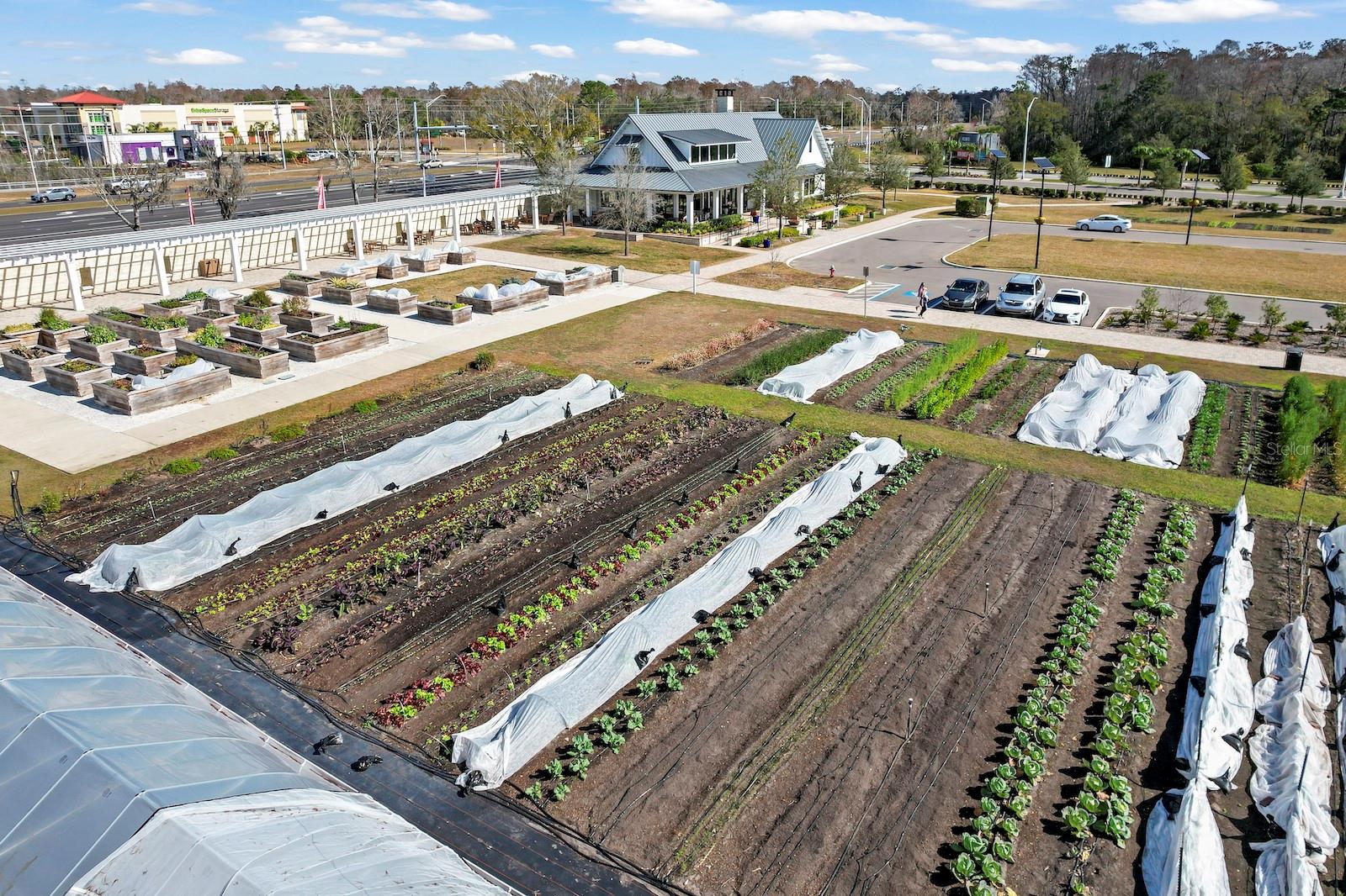 Image 62 of 66 For 10843 Ibis Brook Court