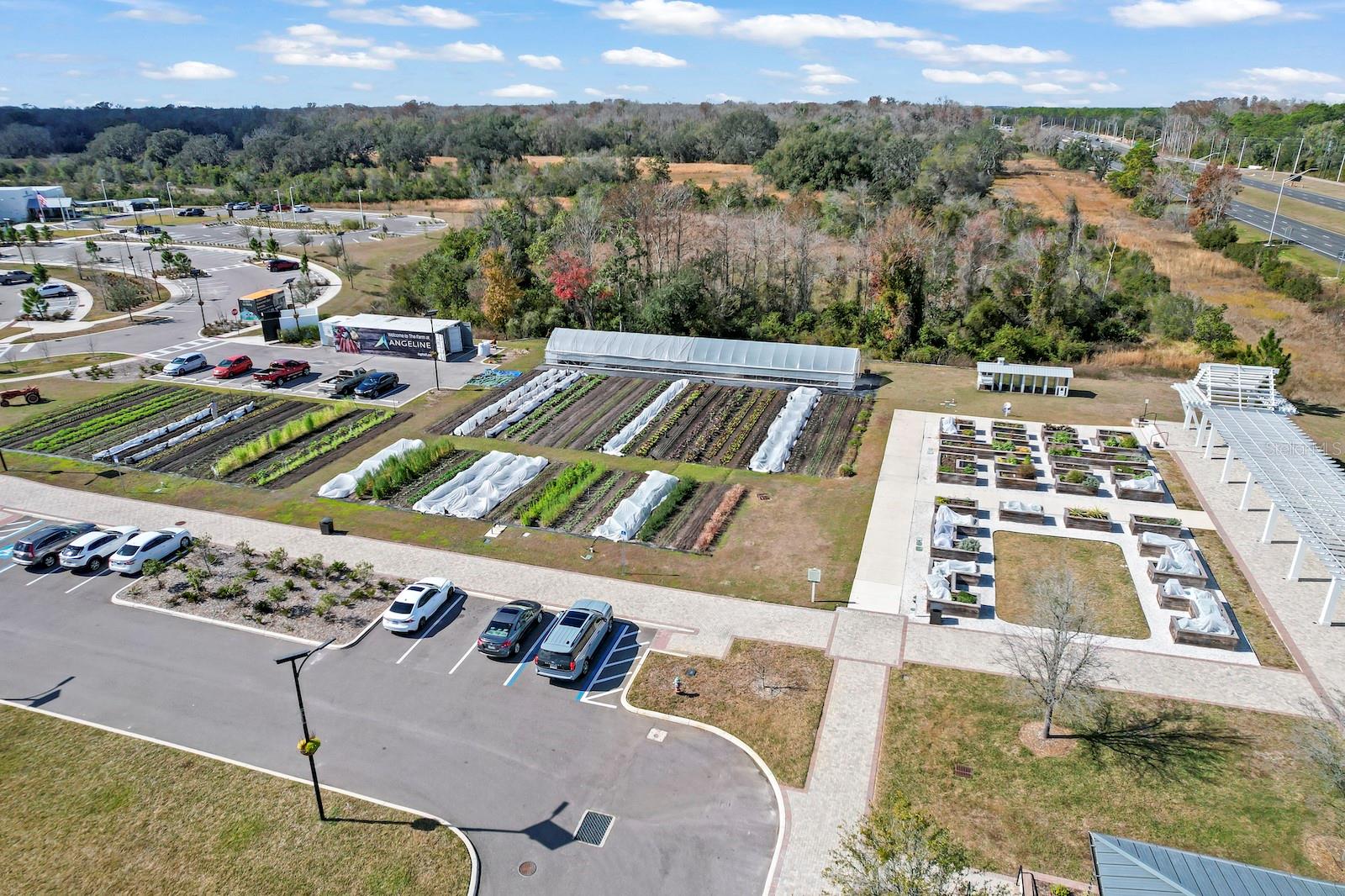 Image 64 of 66 For 10843 Ibis Brook Court