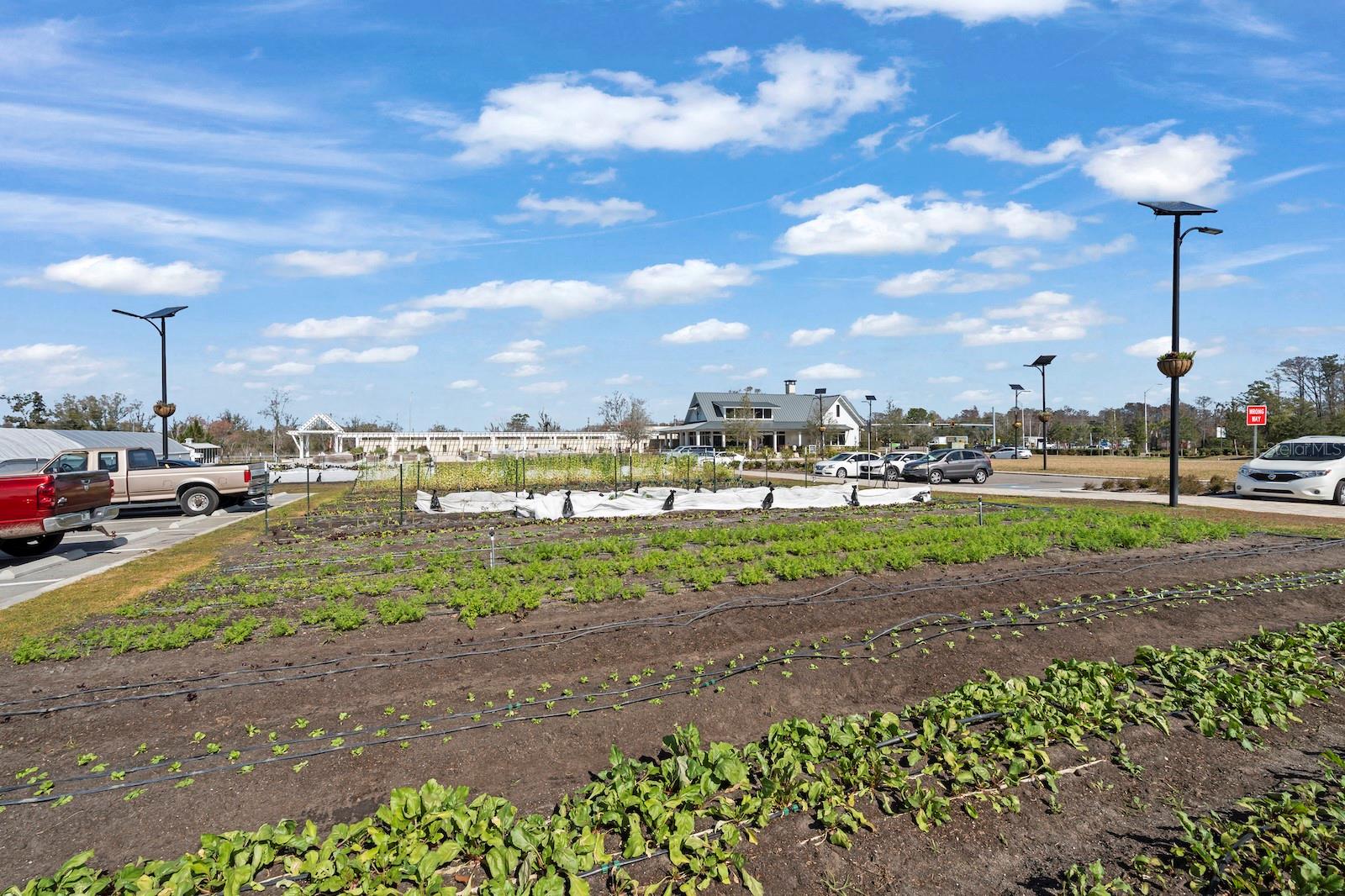 Image 65 of 66 For 10843 Ibis Brook Court