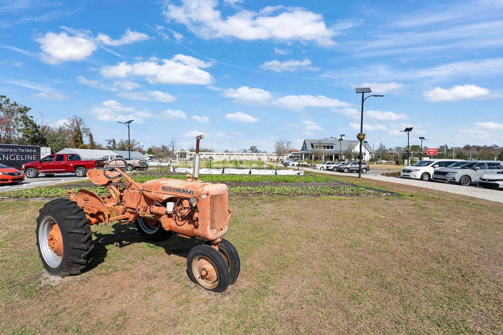 Image 66 of 66 For 10843 Ibis Brook Court