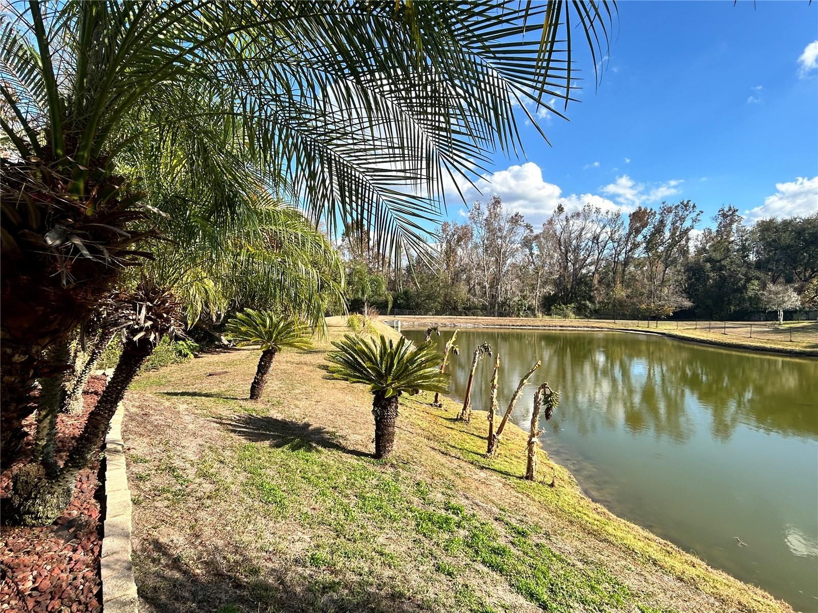 Image 71 of 81 For 9606 Greenbank Drive