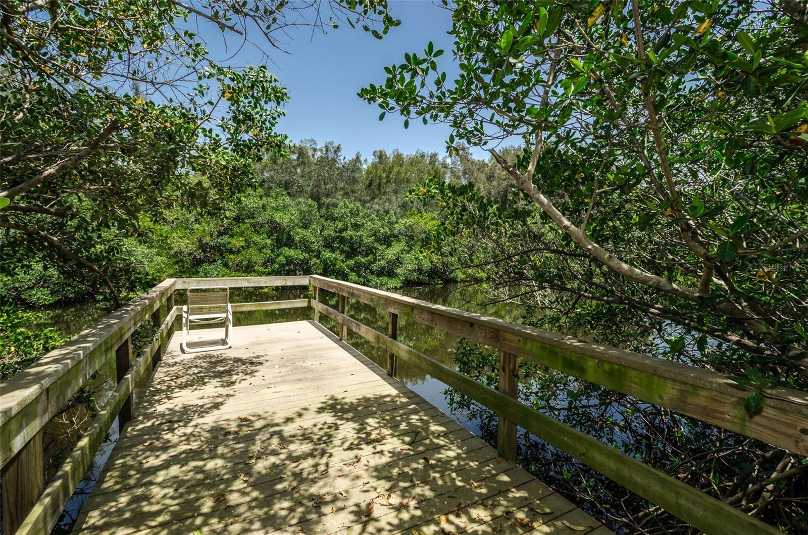 Image 47 of 53 For 990 San Carlos Court Ne