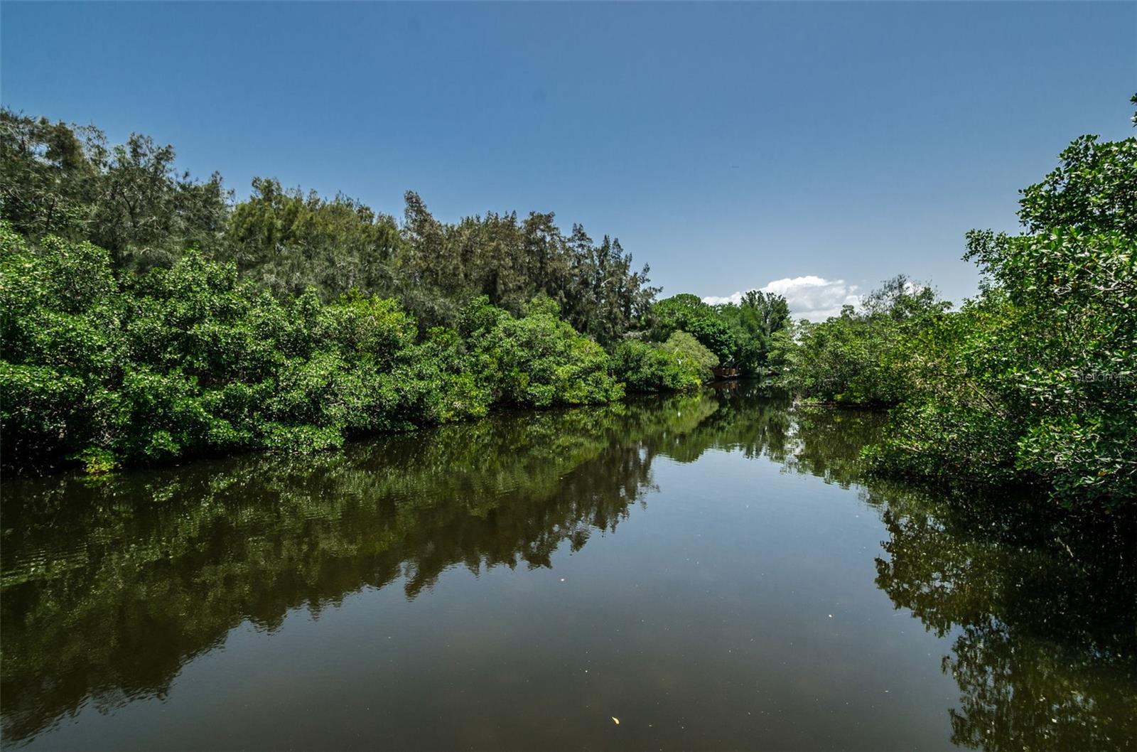 Image 48 of 53 For 990 San Carlos Court Ne