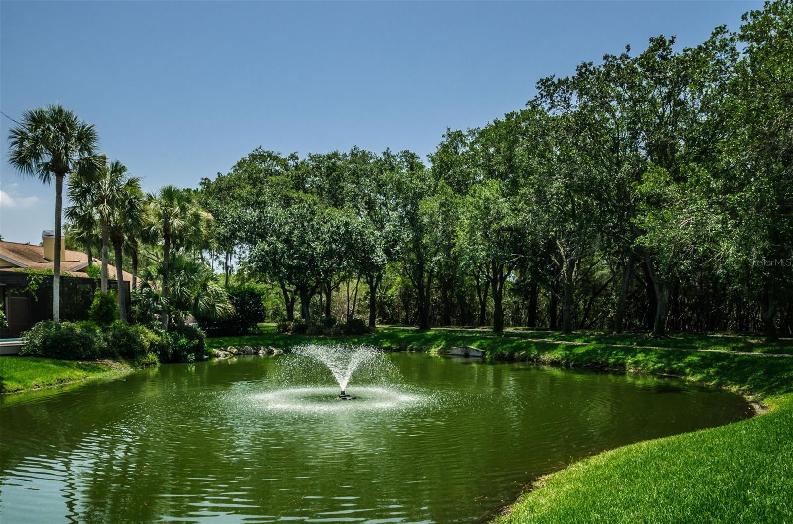 Image 49 of 53 For 990 San Carlos Court Ne