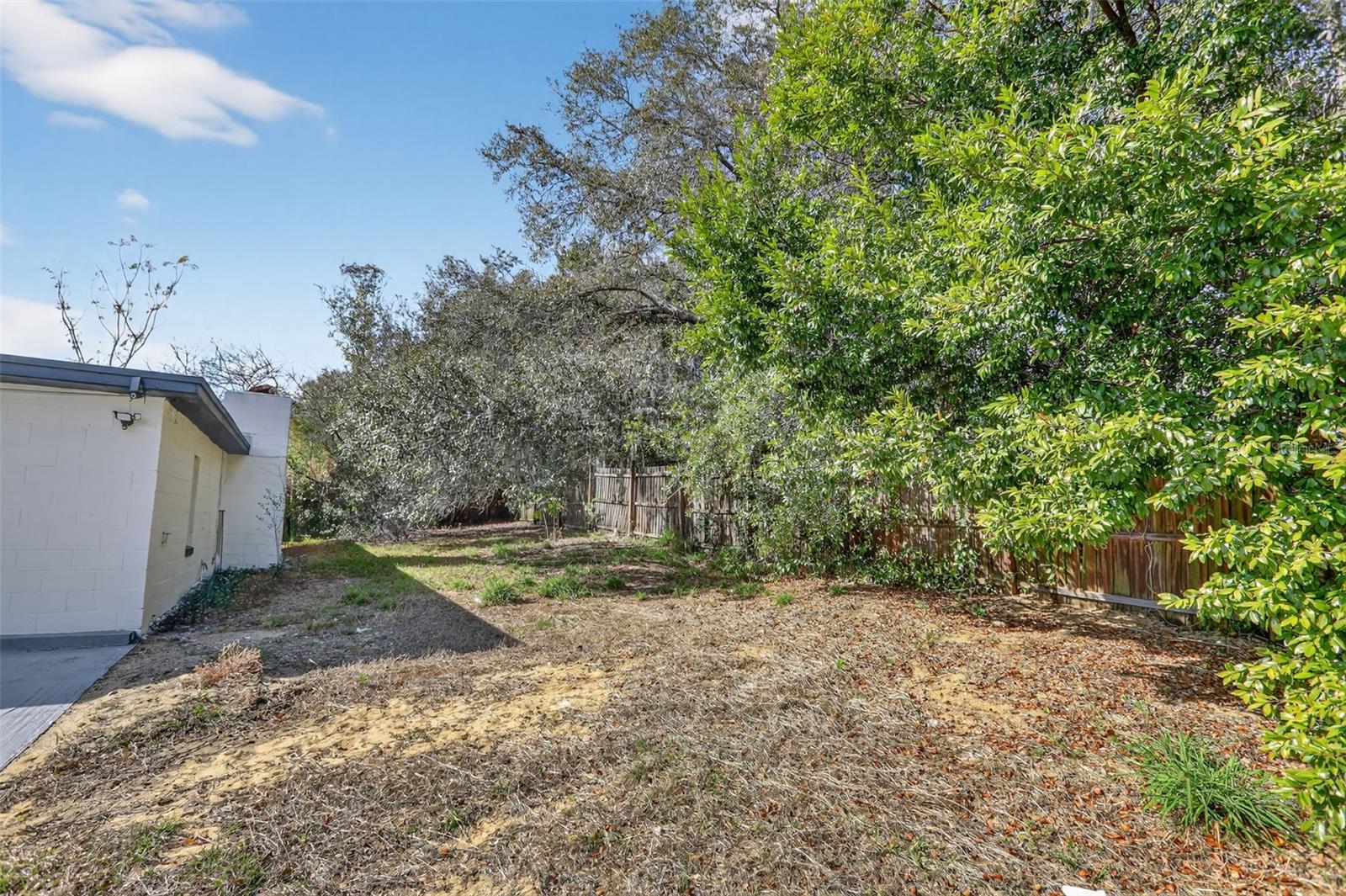 Image 39 of 43 For 101 Celeste Street