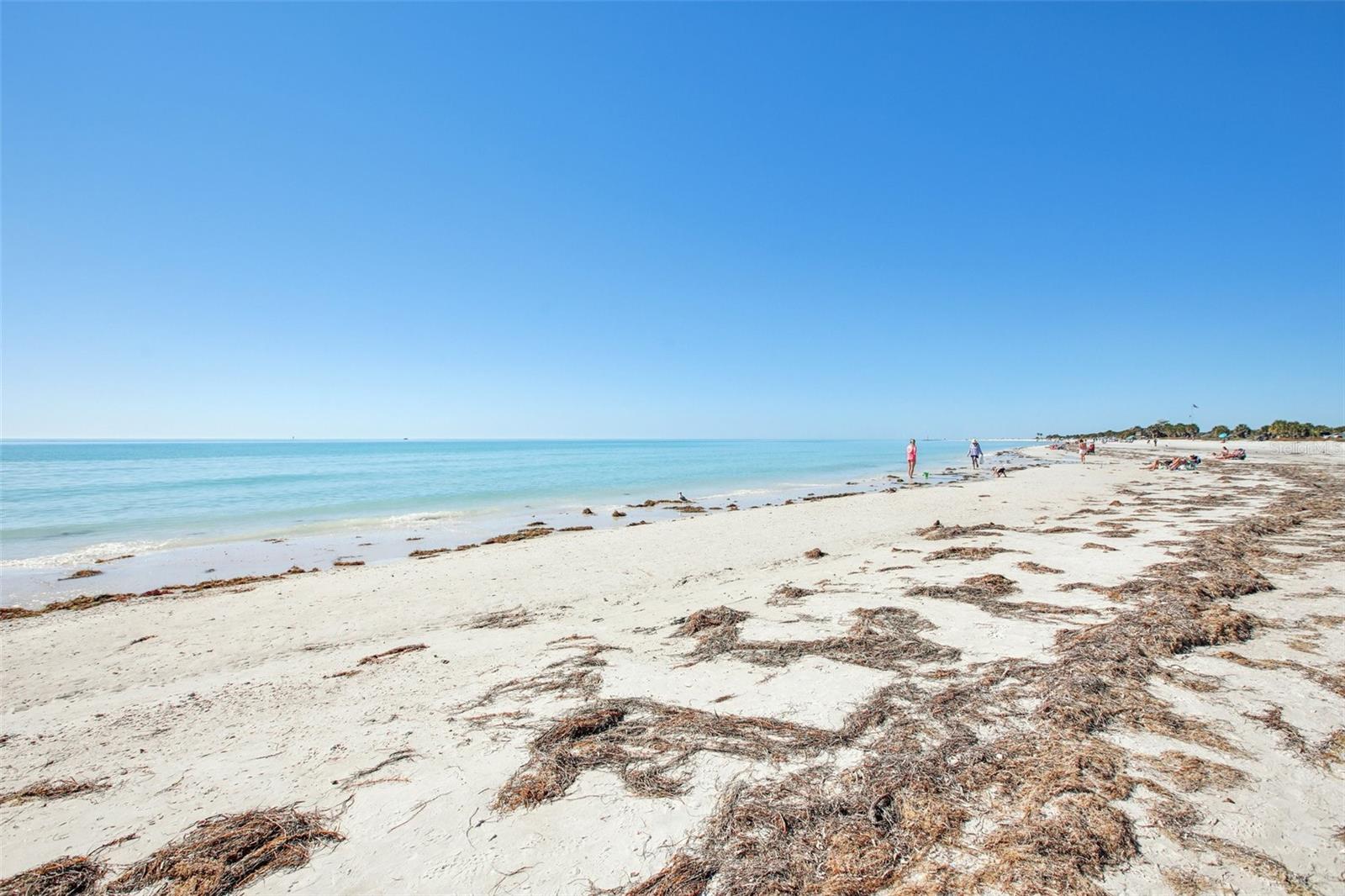 Image 64 of 88 For 455 Alt 19 S 42 & 46