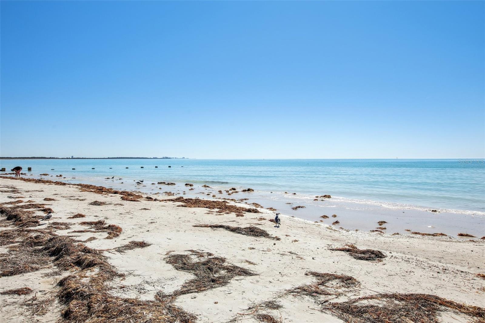 Image 65 of 88 For 455 Alt 19 S 42 & 46