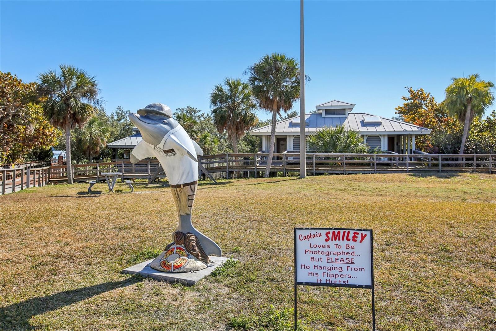 Image 68 of 88 For 455 Alt 19 S 42 & 46