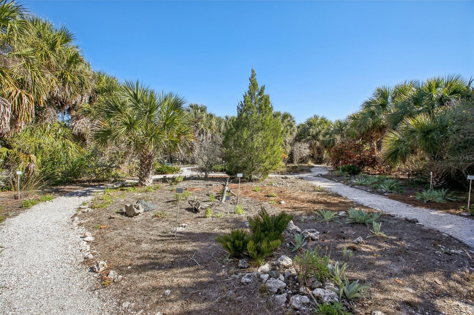 Image 72 of 88 For 455 Alt 19 S 42 & 46