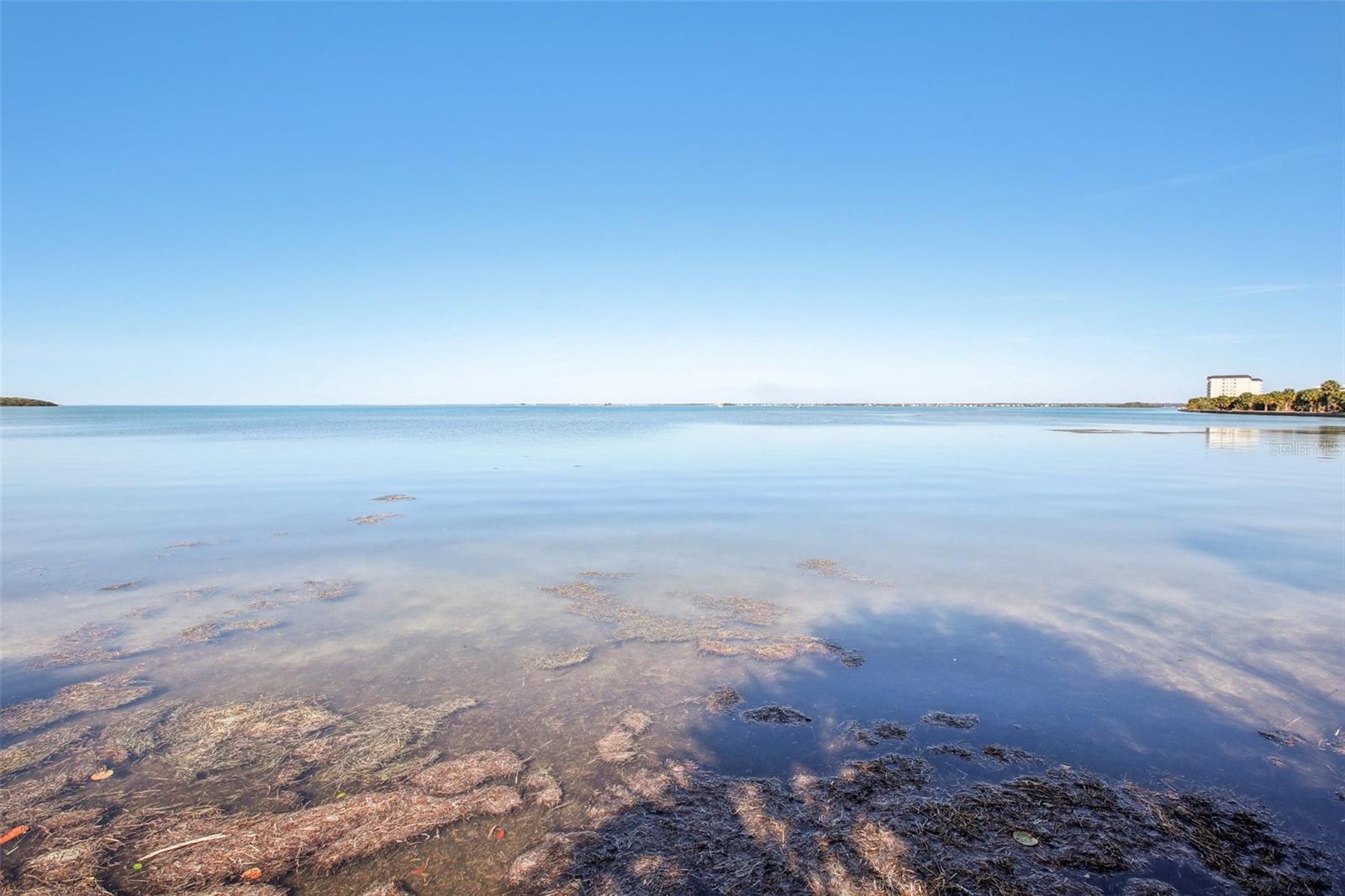 Image 73 of 88 For 455 Alt 19 S 42 & 46