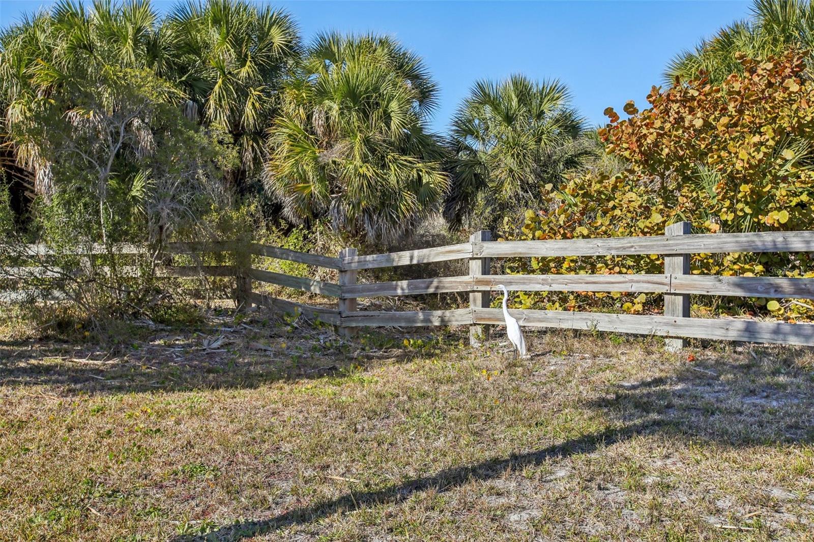 Image 77 of 88 For 455 Alt 19 S 42 & 46