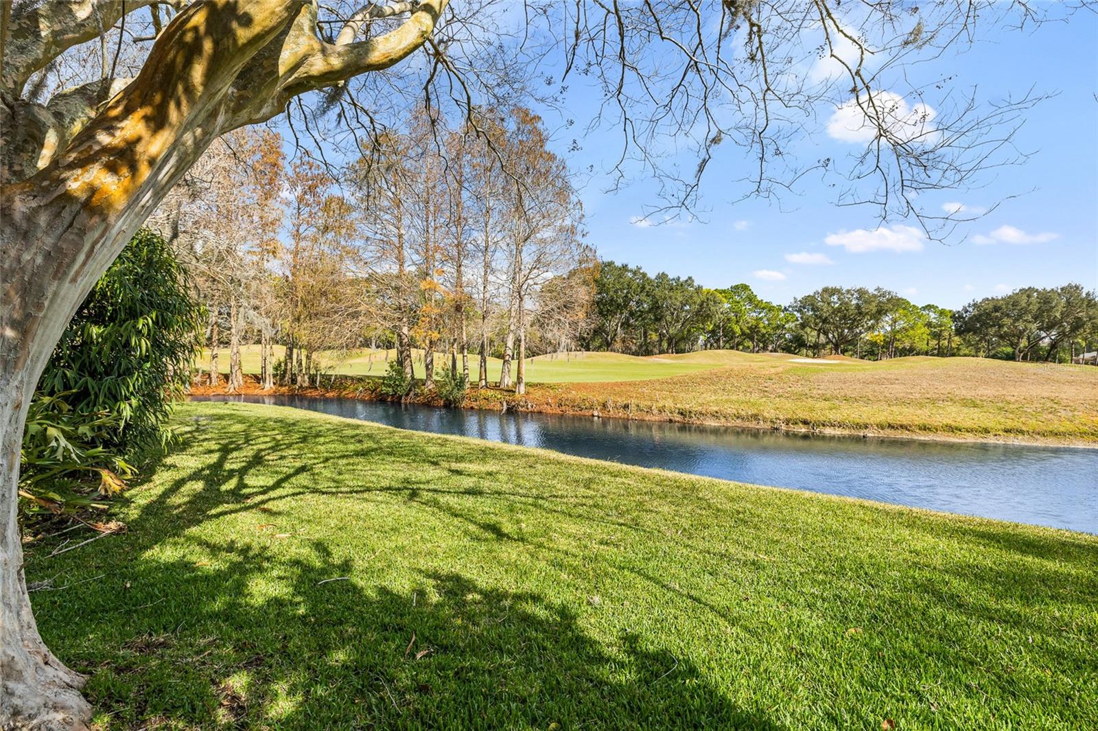 Image 42 of 49 For 18955 Maisons Drive