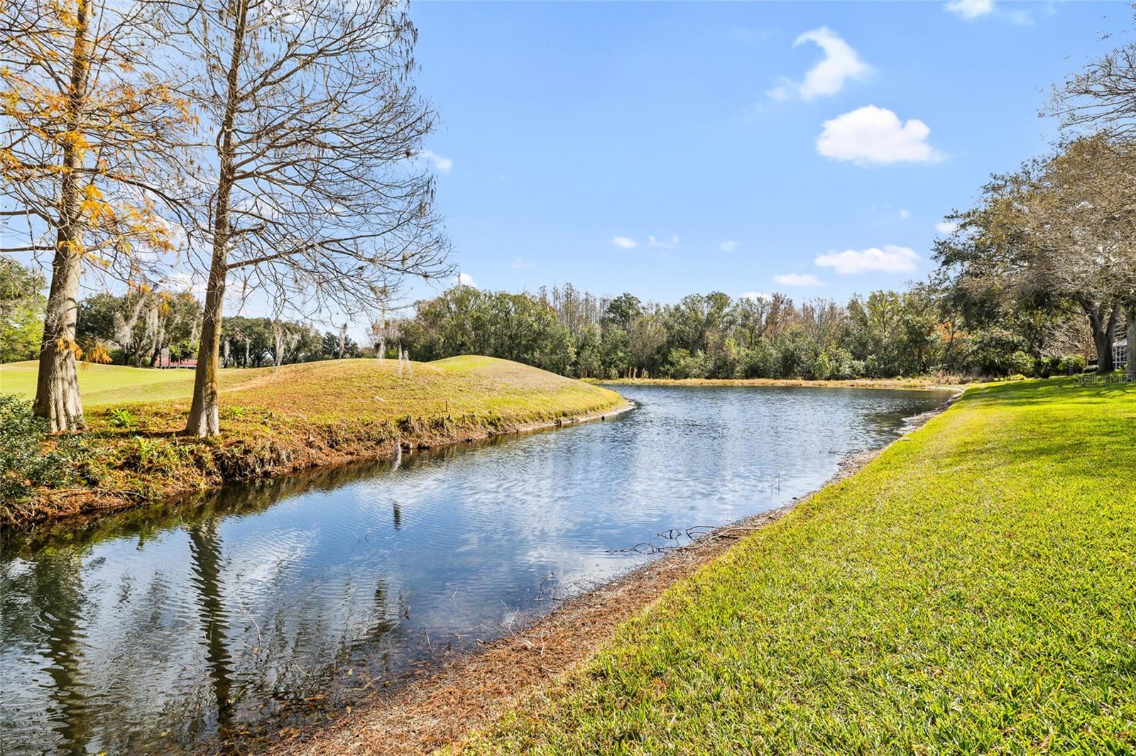 Image 5 of 49 For 18955 Maisons Drive