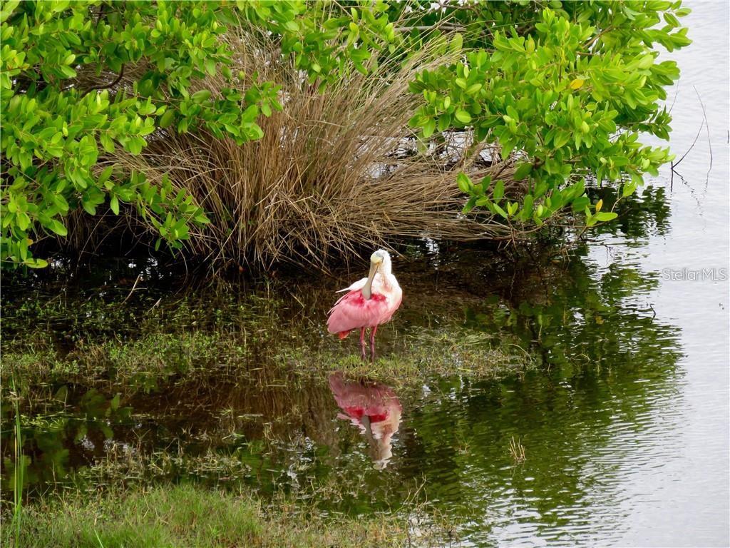 Listing photo id 32 for 6315 Shoreline Drive 3307