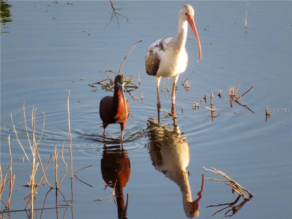 Listing photo id 33 for 6315 Shoreline Drive 3307