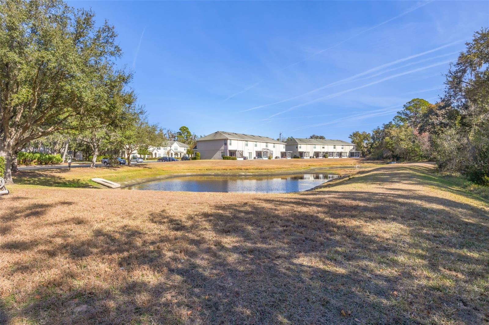 Image 26 of 30 For 15925 Fishhawk View Drive