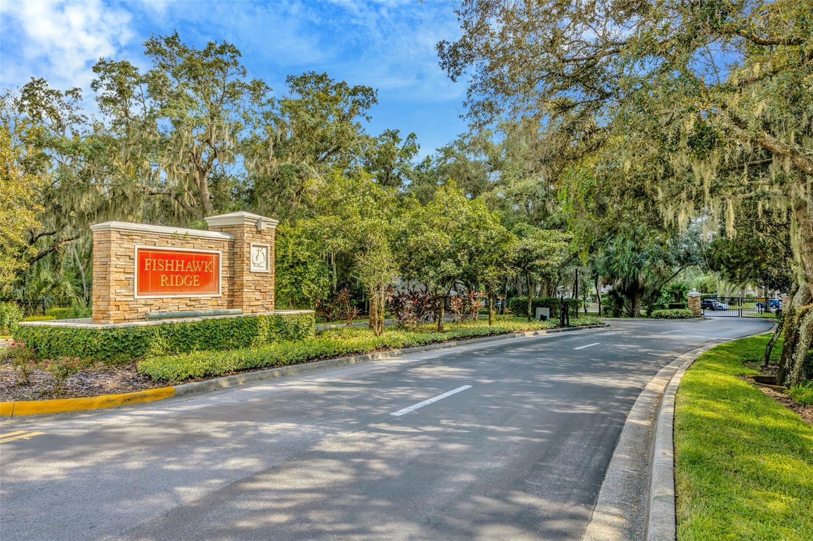 Image 30 of 30 For 15925 Fishhawk View Drive