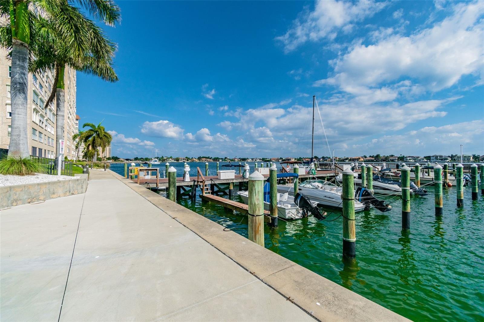 Image 49 of 88 For 5200 Brittany Drive S 1502