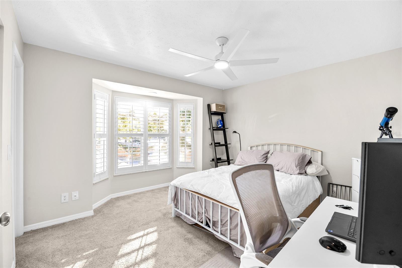 Image 24 of 31 For 5300 Bayshore Boulevard A1