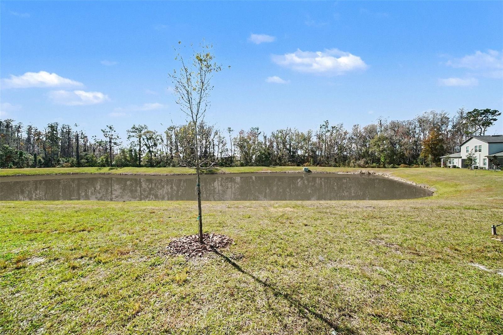 Image 28 of 46 For 17244 Tortoise Crown Boulevard