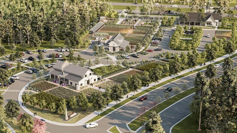 Image 45 of 46 For 17244 Tortoise Crown Boulevard