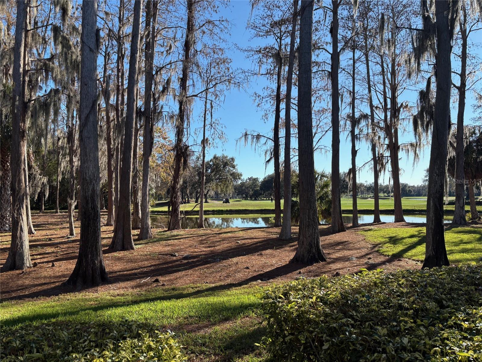 Image 26 of 34 For 36750 Us Hwy 19 N 2-111