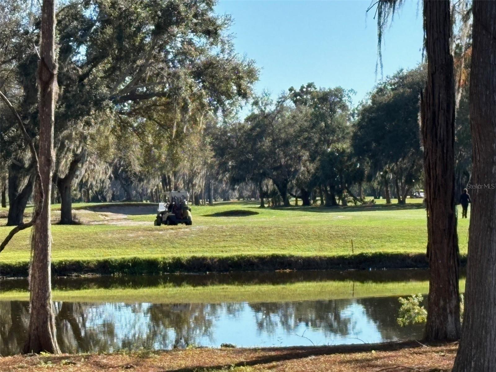 Image 27 of 34 For 36750 Us Hwy 19 N 2-111