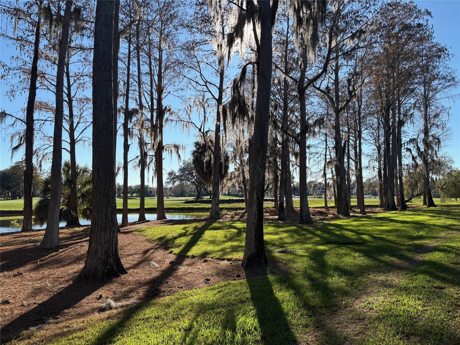 Image 28 of 34 For 36750 Us Hwy 19 N 2-111