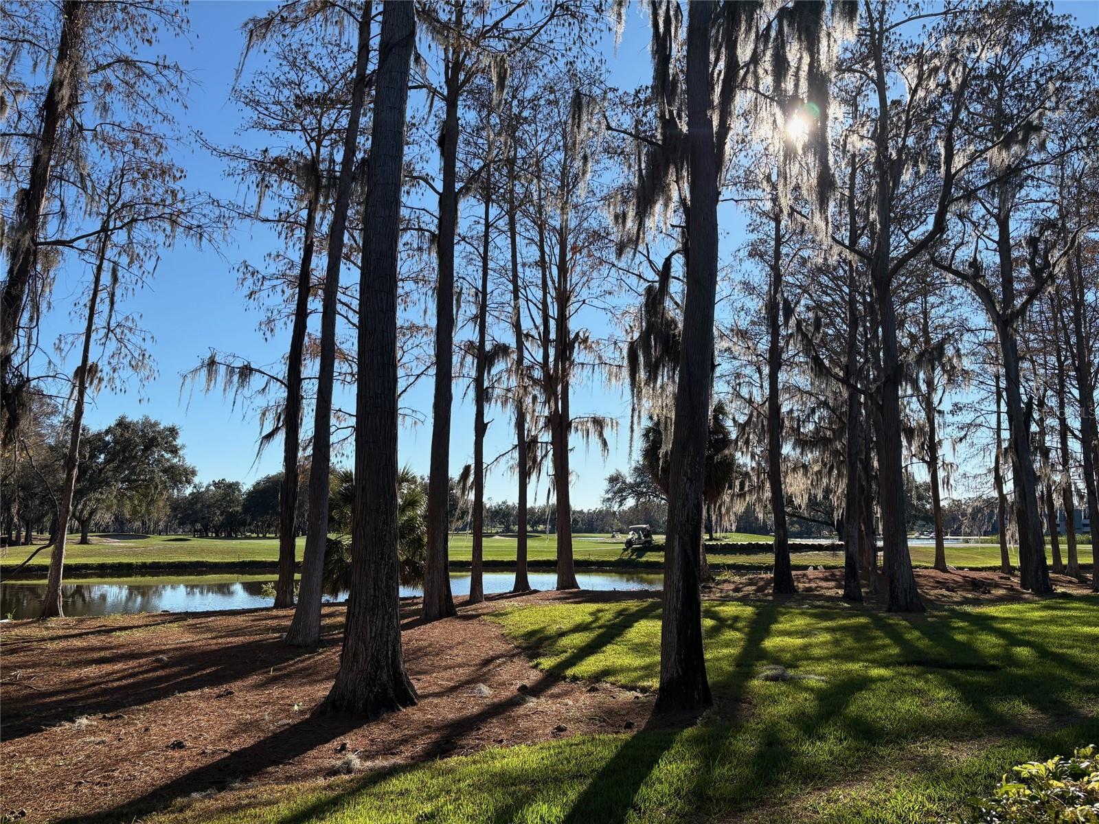 Image 30 of 34 For 36750 Us Hwy 19 N 2-111