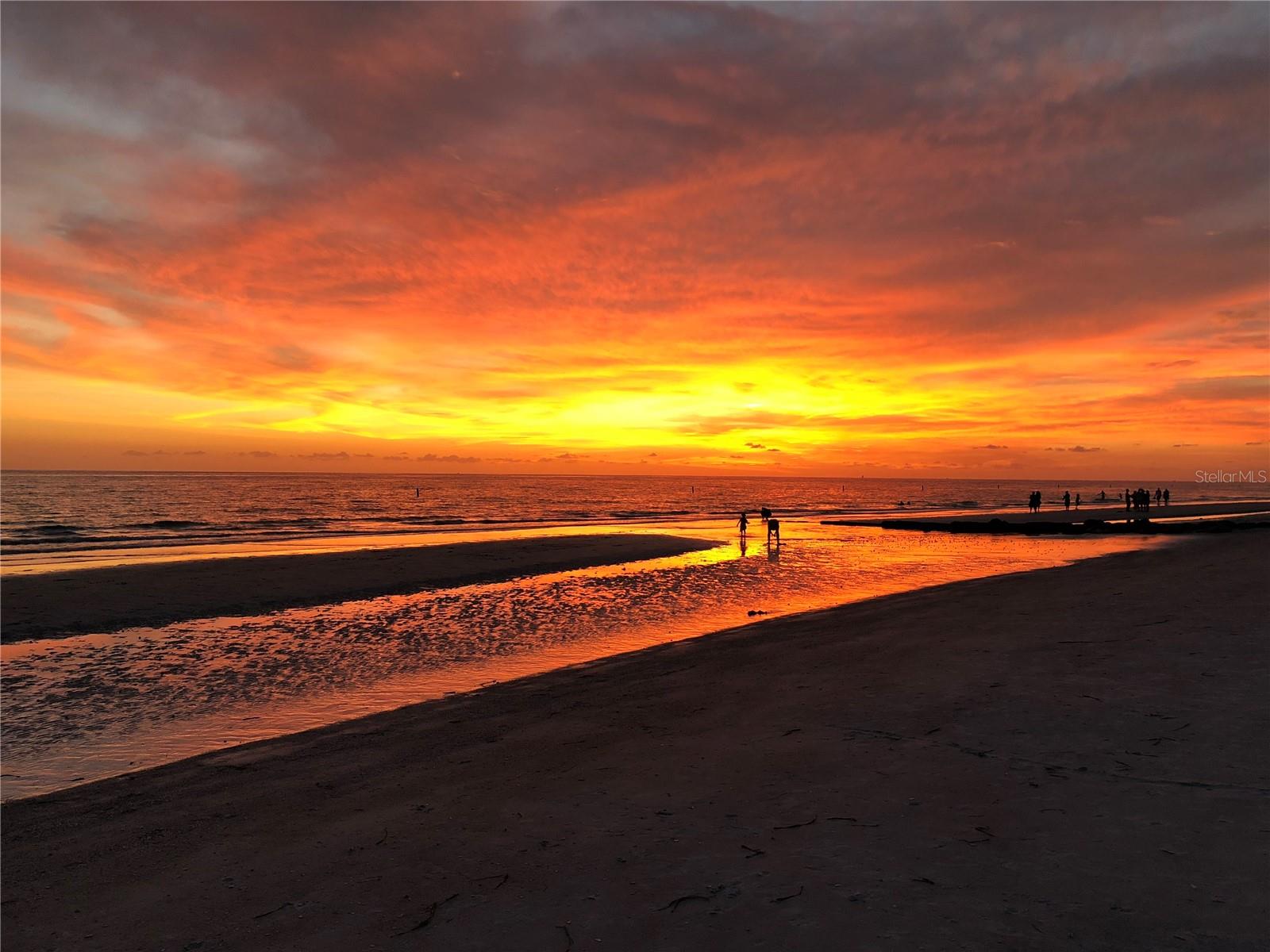 Image 41 of 46 For 11315 3rd Street E