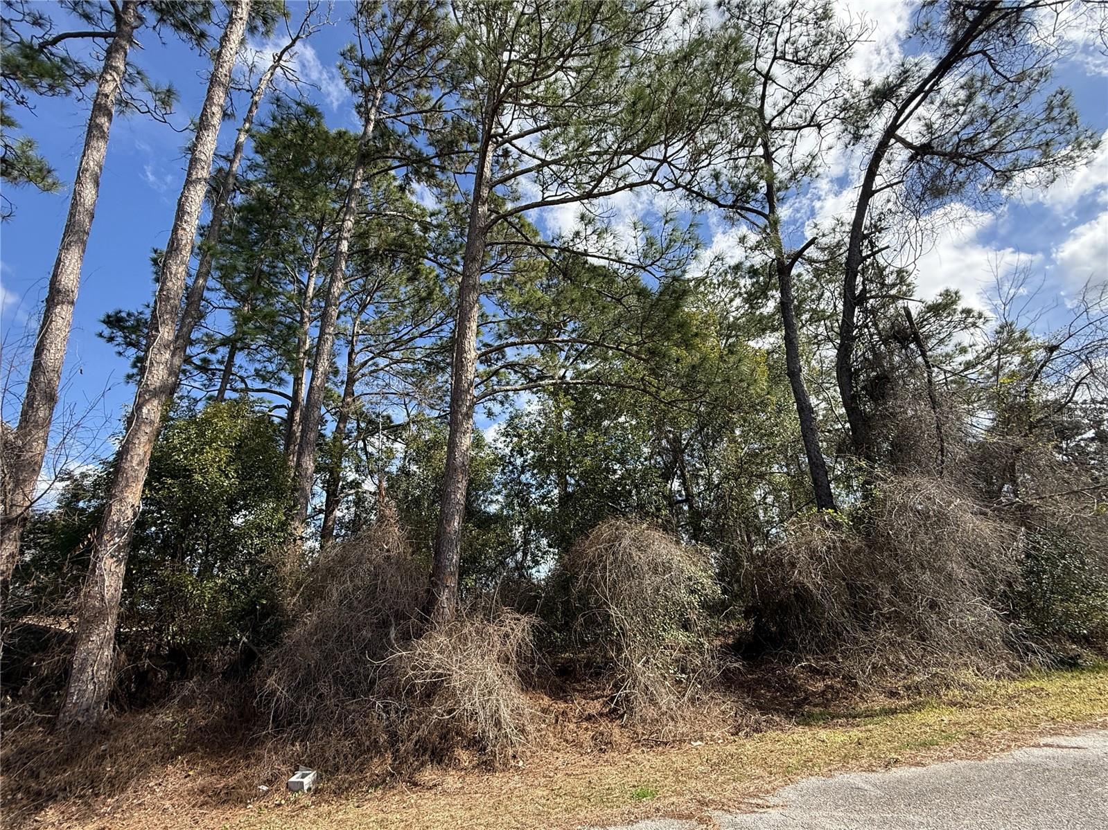 Details for Tbd Se 190th Avenue, SILVER SPRINGS, FL 34488