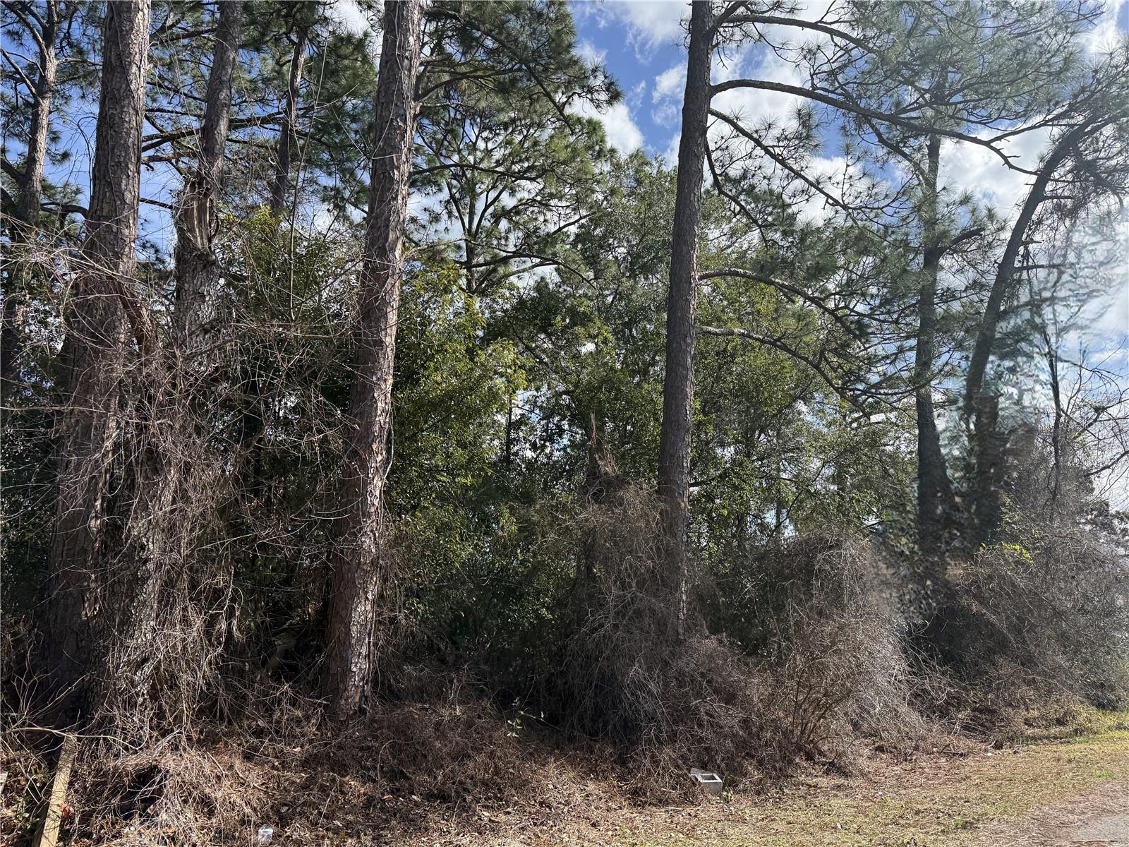 Image 3 of 6 For Tbd Se 190th Avenue