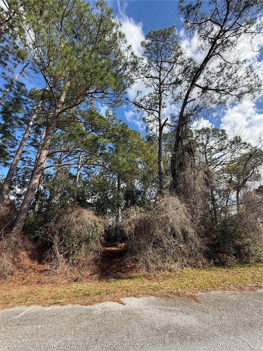 Image 4 of 6 For Tbd Se 190th Avenue