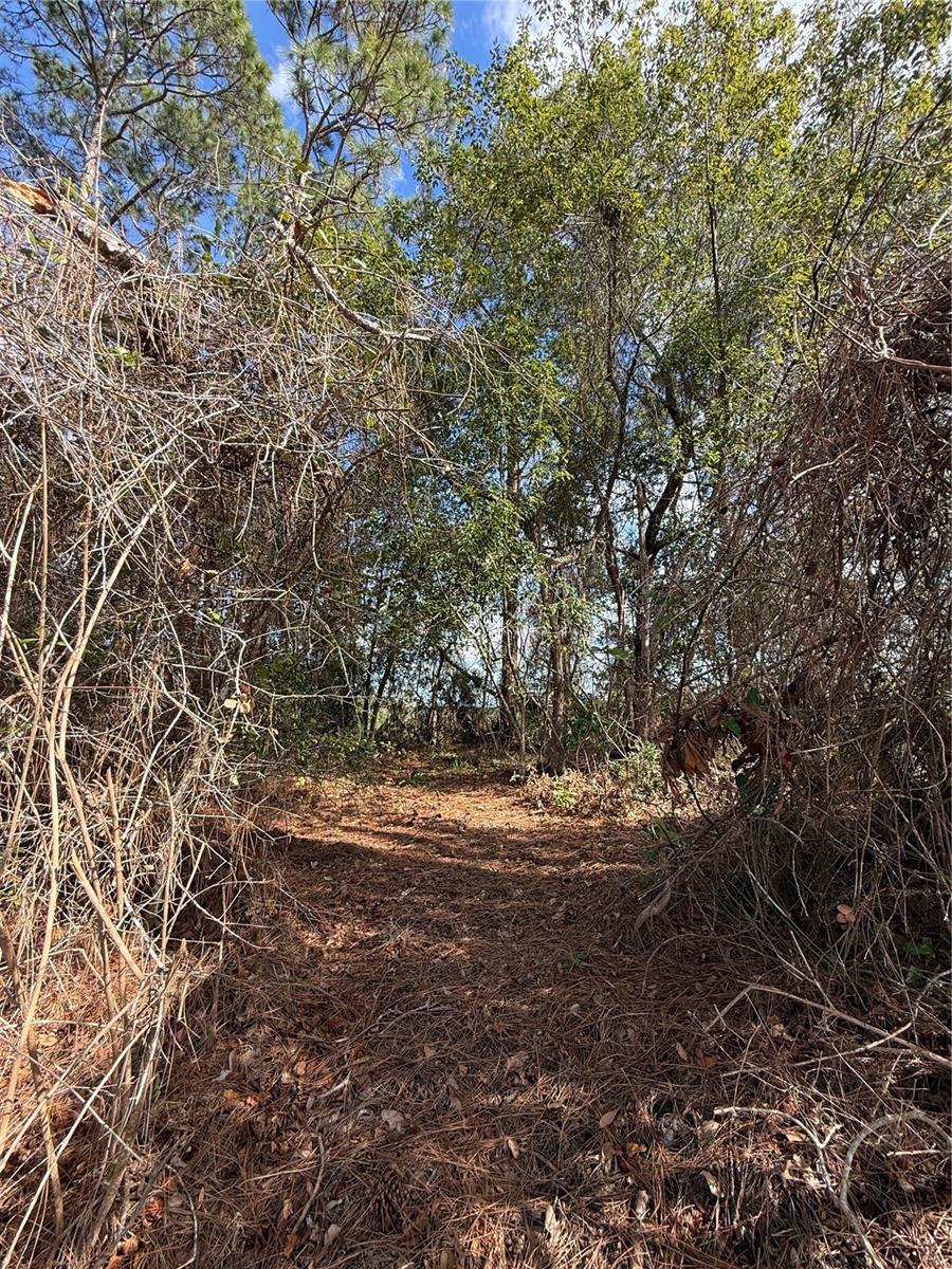 Image 5 of 6 For Tbd Se 190th Avenue