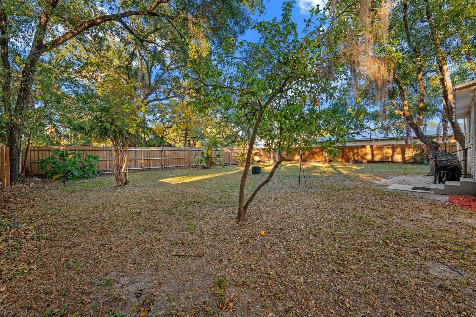 Image 23 of 29 For 806 Lambright Street