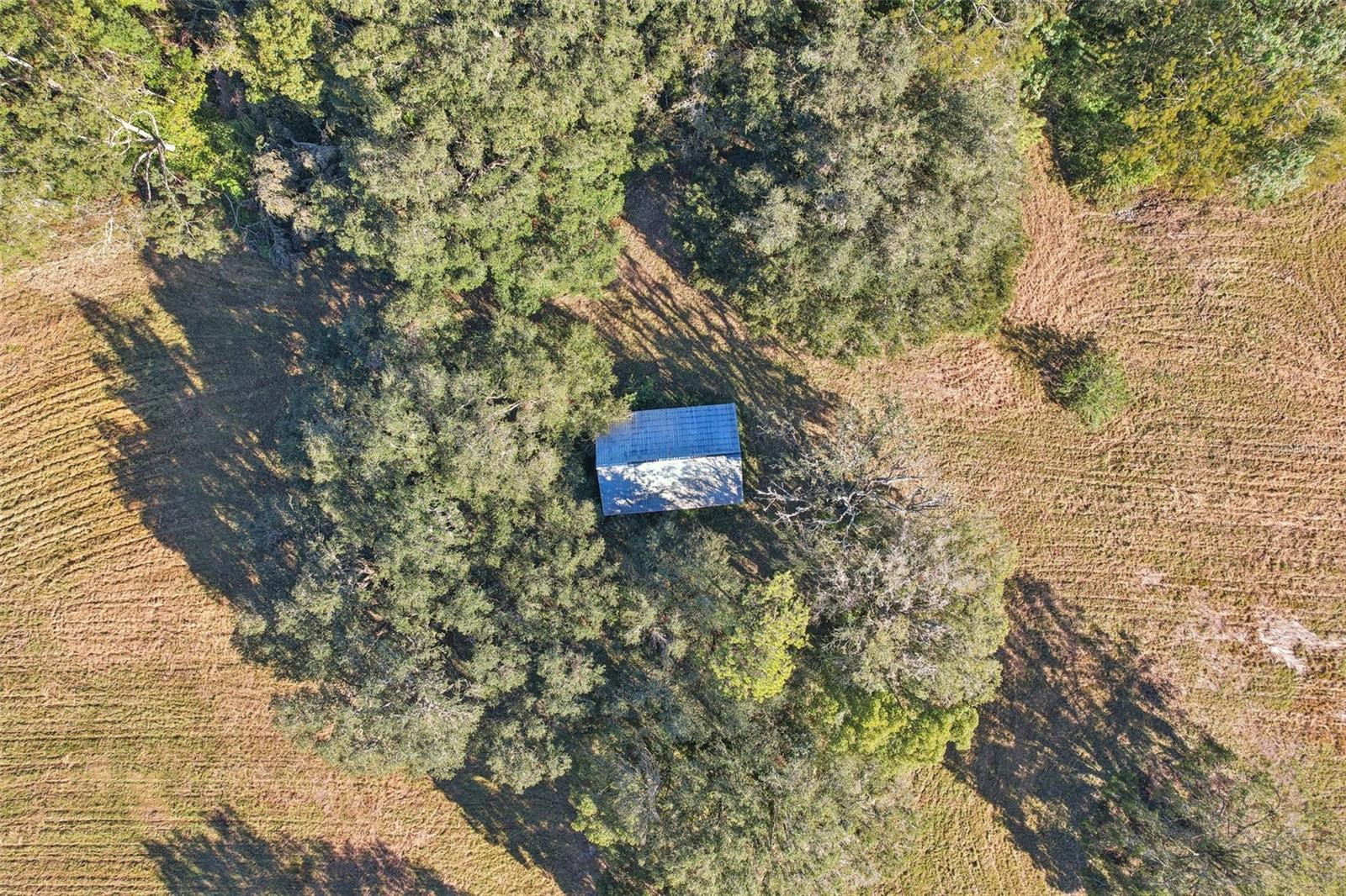 Image 4 of 18 For 4610 County Road 542