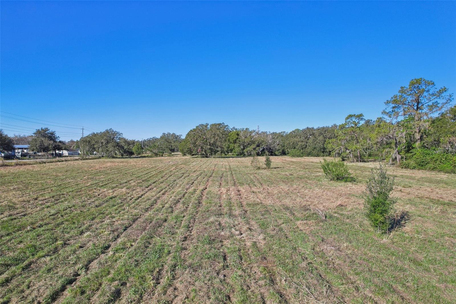 Image 6 of 18 For 4610 County Road 542