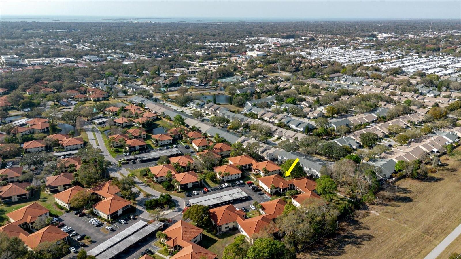 Image 3 of 36 For 1201 Hammock Pine Boulevard 1201